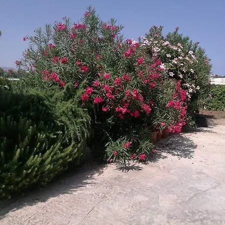 Apartamento Silvano A 100 Mt Dal Mare *